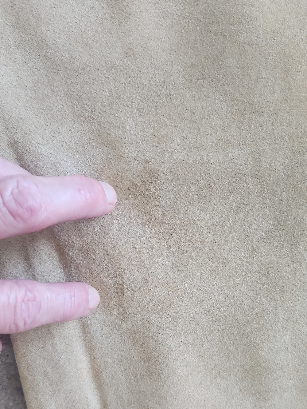 100% Suede Palomino Yellow Pants - Picture 14 of 16